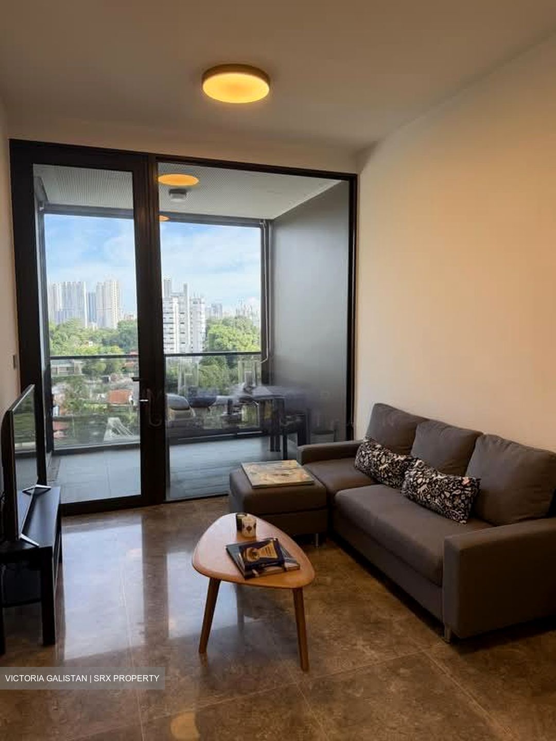 Hyll On Holland (D10), Condominium #589880981